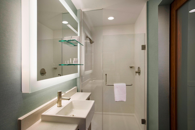 Bathroom 4, Springhill Suites by Marriott Houston Dwntn/Convention Cntr, Houston