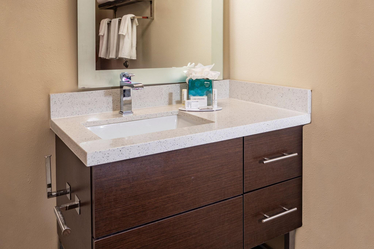 Bathroom 4, TownePlace Suites Fort Mill at Carowinds Blvd., York