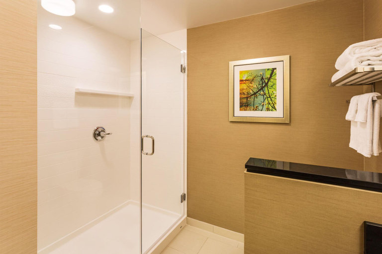Bathroom 4, Fairfield Inn & Suites Johnson City, Washington