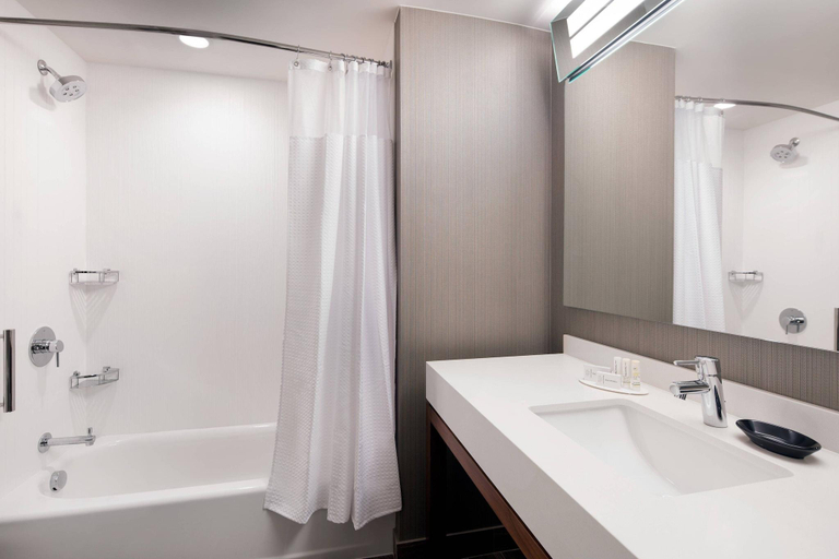 Bathroom 4, Courtyard Pullman, Whitman