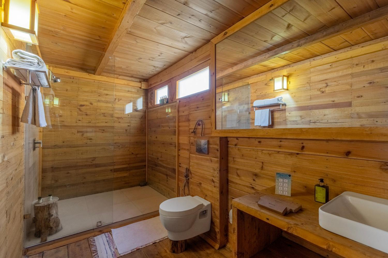 Bathroom 3, ELIVAAS Signature 4 BHK with Garden & Sauna - Skylounge, Shimla