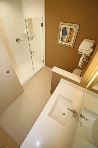 Bathroom 4, Fairfield Inn & Suites London, Laurel