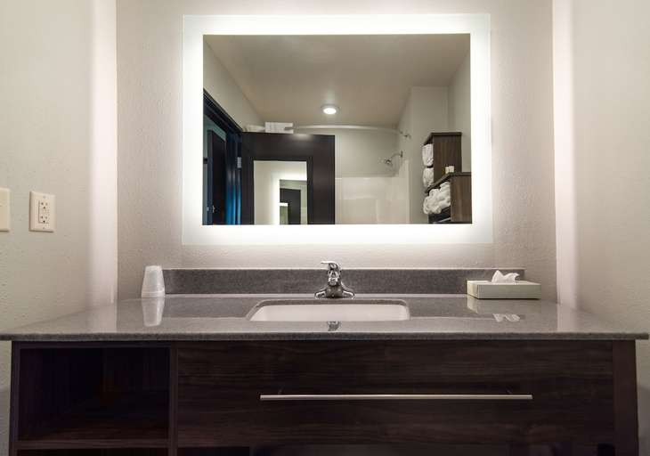 Bathroom 4, My Place Hotel-Beatrice NE, Gage