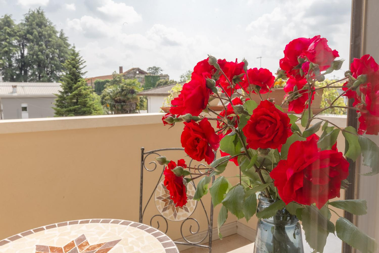 Others 2, B&B ARMONIE DI CAMPAGNA, Padua