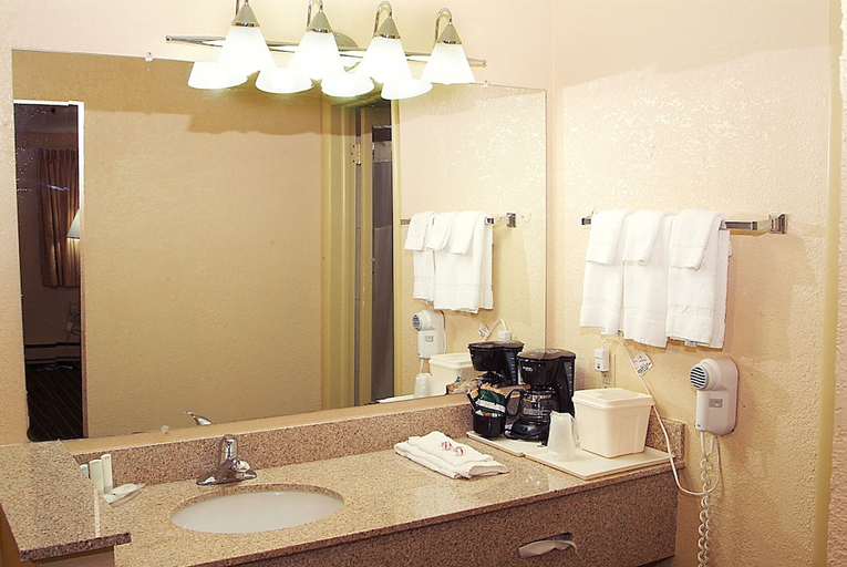 Bathroom 5, Quality Inn & Suites Big Rapids, Mecosta