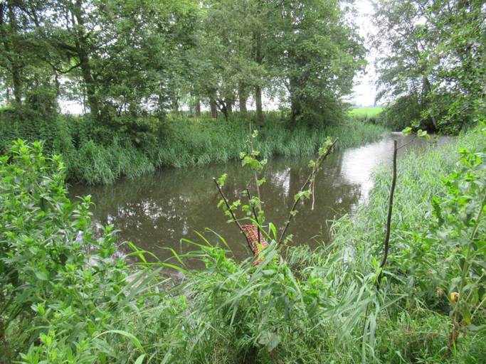 Others 4, B and Be Happy Friesland, Dongeradeel