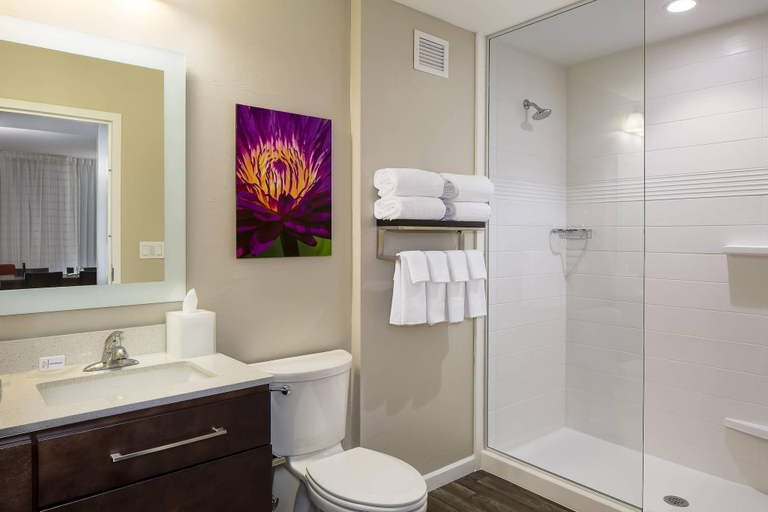 Bathroom 4, TownePlace Suites by Marriott Fort Myers Estero, Lee