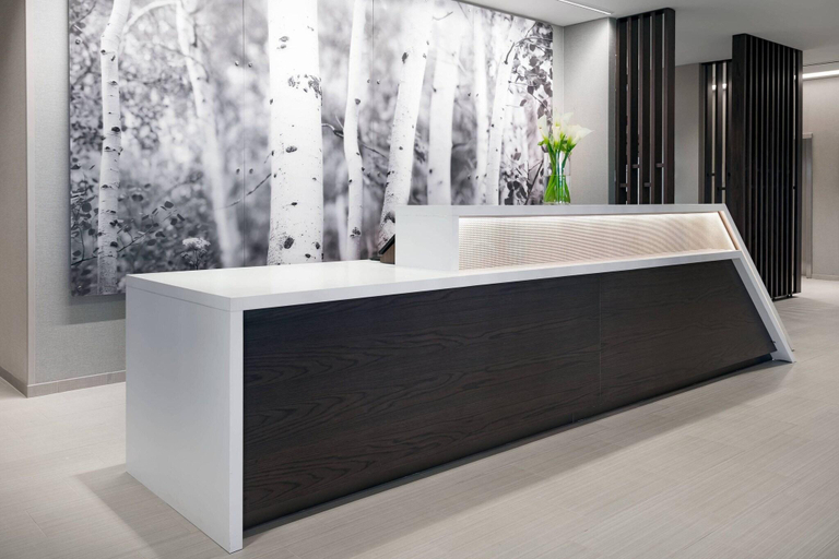 Public Area, SpringHill Suites by Marriott Indianapolis Westfield, Hamilton