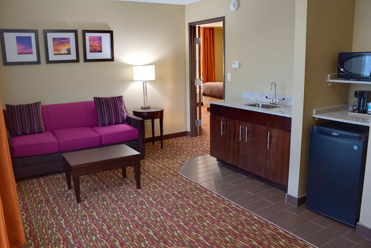 Others 5, Comfort Inn & Suites Artesia, Eddy