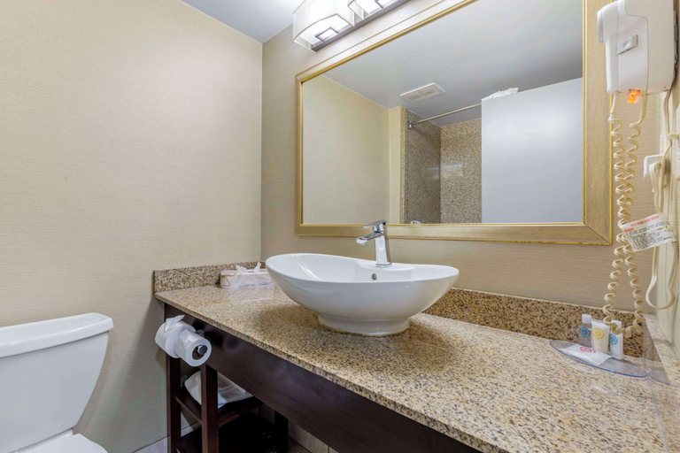 Bathroom 4, Comfort Inn Herndon-Reston, Fairfax