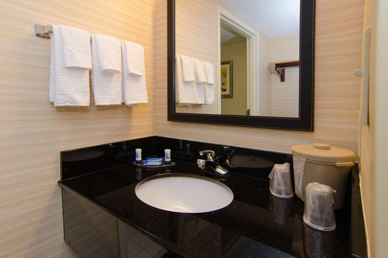 Bathroom, Fairfield Inn Hartsville, Darlington
