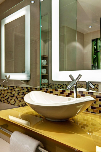 Bathroom 5, Hilton Frankfurt Airport, Frankfurt am Main
