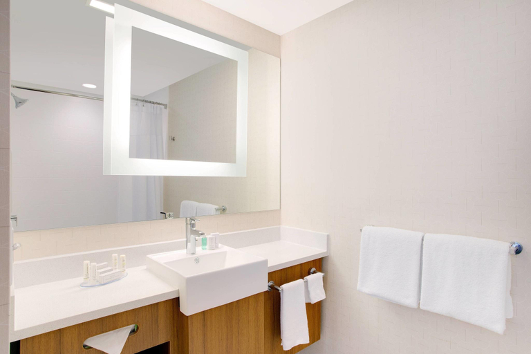 Bathroom 5, Springhill Suites Murray, Calloway