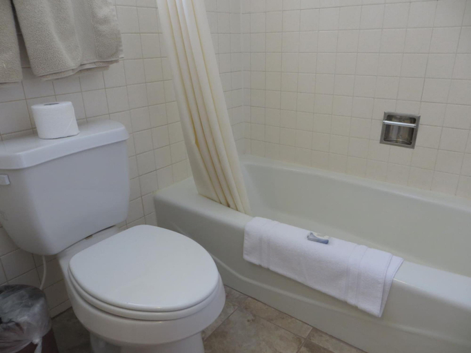 Bathroom 3, Bristlecone Motel, White Pine