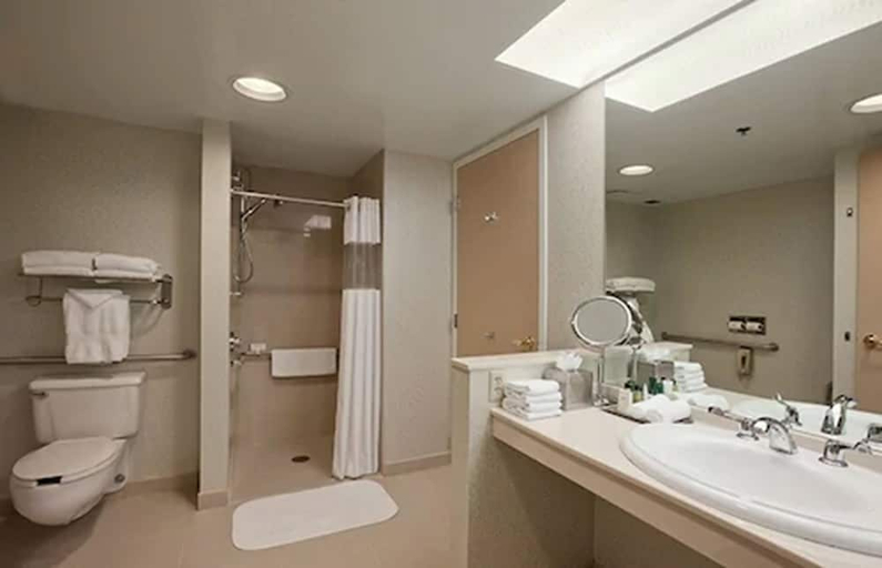 Bathroom, Embassy Suites By Hilton Auburn Hills