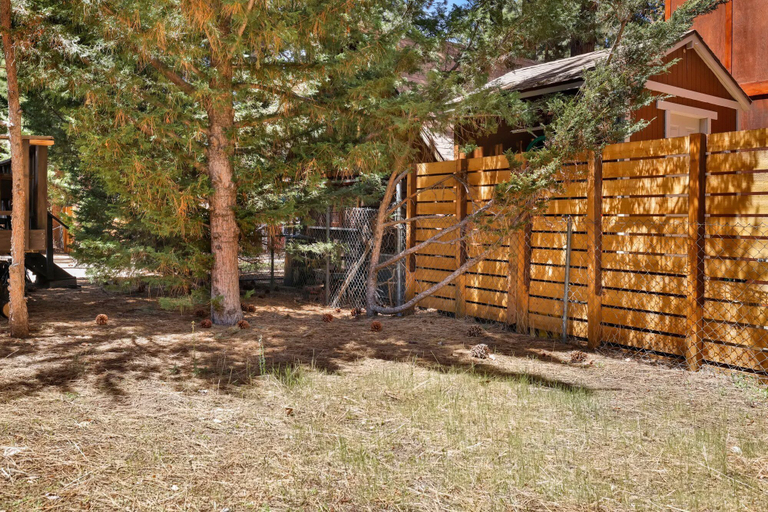 Others 5, Brown Bears Cabin #1091, San Bernardino