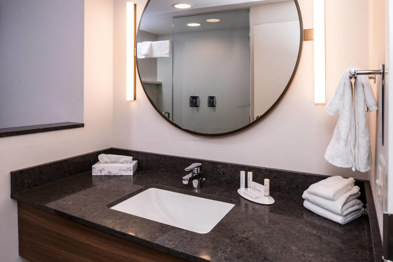 Bathroom, Fairfield Inn & Suites by Marriott Staunton, Staunton