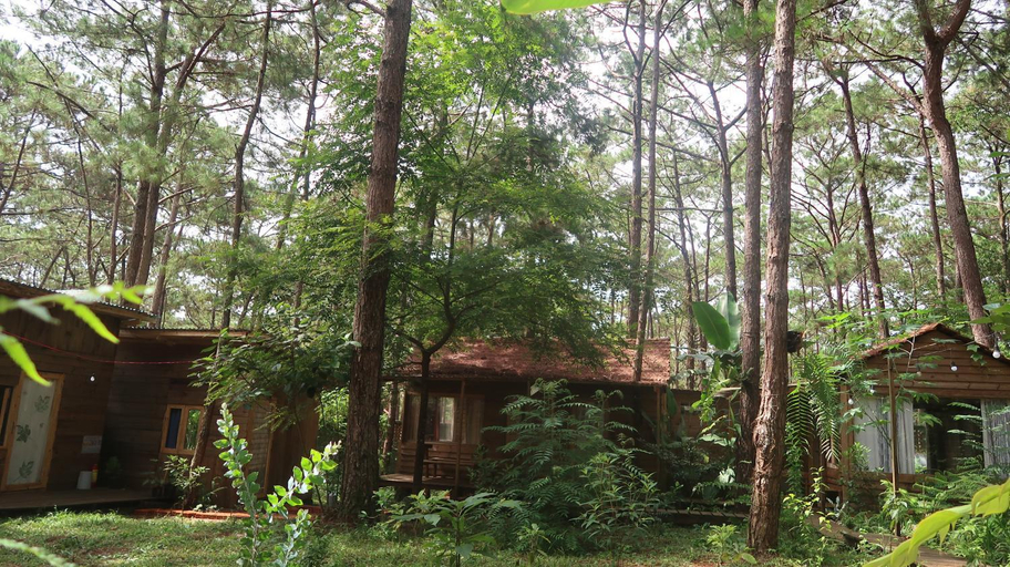 Others 4, La Maison homestay Mang Den, Kon Plông