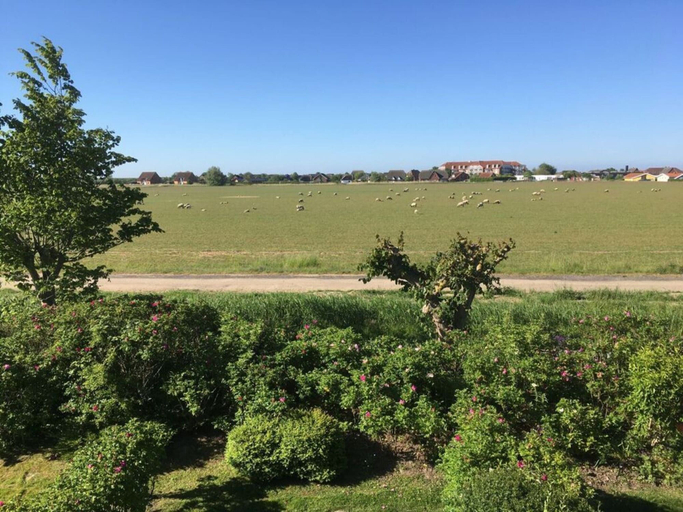 Golf 3, Blauort in Friedrichskoog-spitze, Dithmarschen
