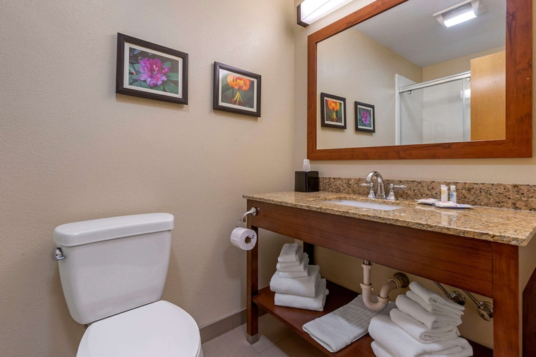 Bathroom 4, Comfort Suites Boone - University Area, Watauga