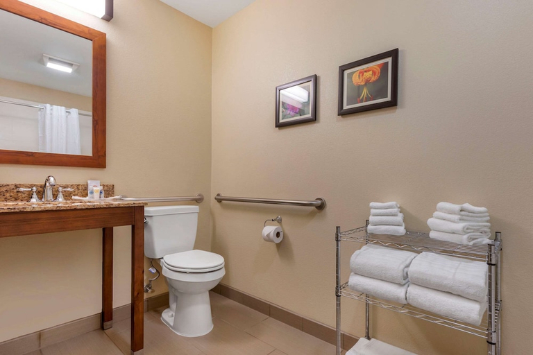 Bathroom 4, Comfort Suites Boone - University Area, Watauga