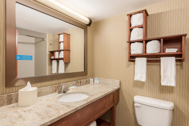 Bathroom 4, Hampton Inn Branson on the Strip, Taney