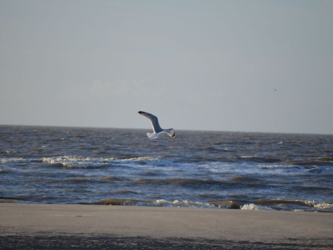 Beach 4, 12 Bohler Brise Modern Retreat, Nordfriesland
