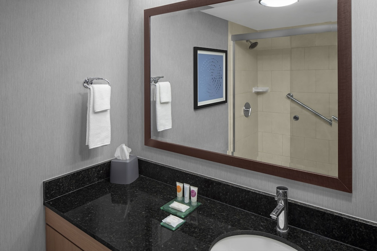 Bathroom 4, Hyatt Place Boston Braintree, Norfolk