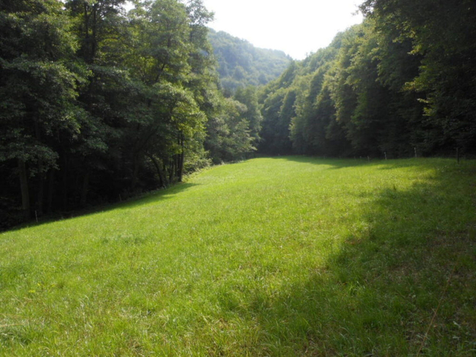 Miscellaneous 5, Holiday Home Weins Comfortable Vacation Home, Cochem-Zell