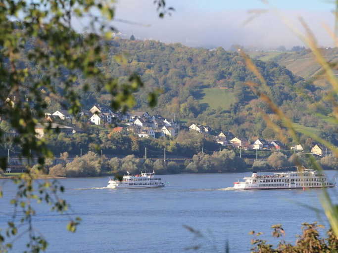 View from property 5, Holiday Apartment Schlossberg, Rheingau-Taunus-Kreis