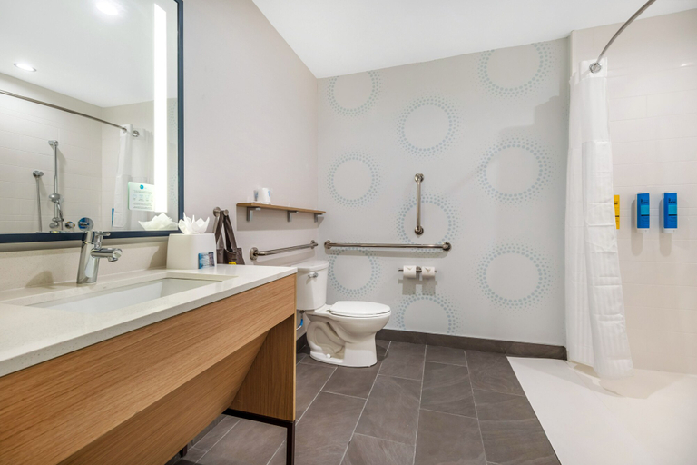 Bathroom 4, Tru By Hilton Lexington Hamburg, Fayette