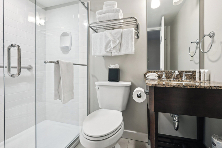 Bathroom 5, French Market Inn, Orleans