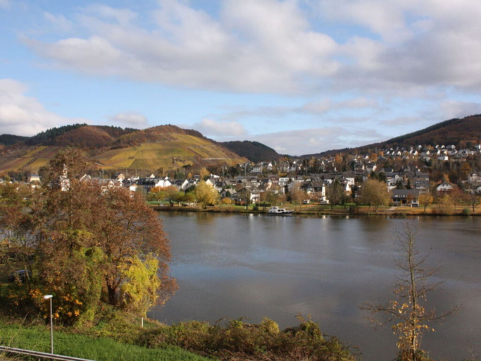 View from property 5, Appealing Apartment in Alf, Cochem-Zell