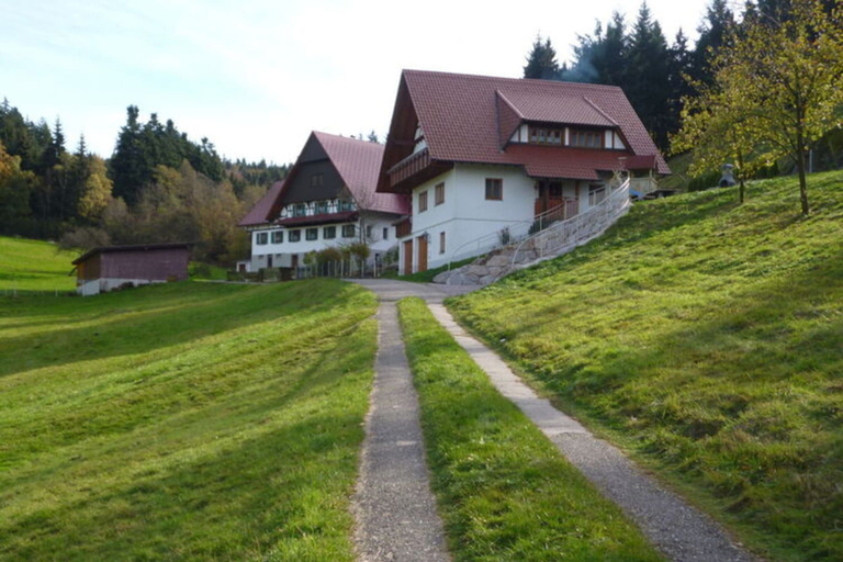 Exterior & Views 2, Holiday Apartment Ferienhof Benz, Ortenaukreis