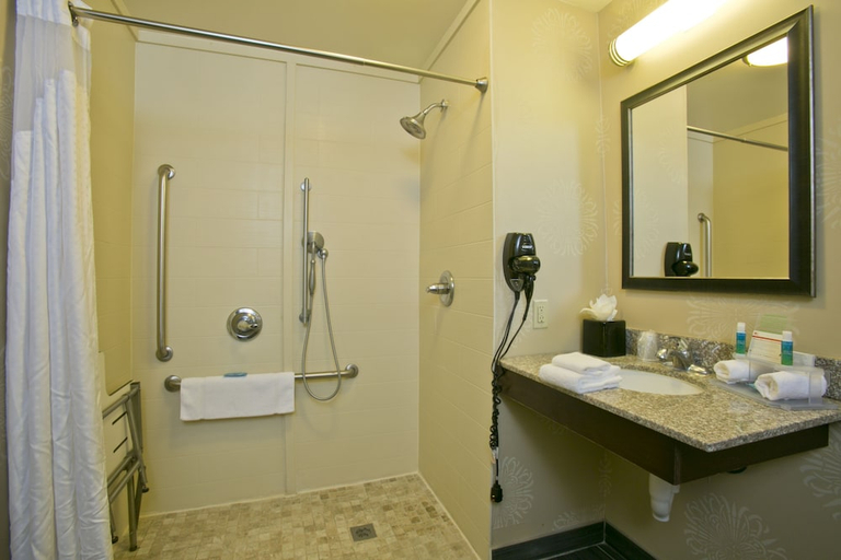 Bathroom 5, Holiday Inn Express & Suites BROOKHAVEN by IHG, Lincoln