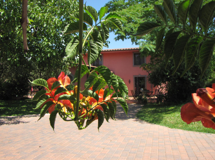 Others 4, B&B Ai Glicini - Castelli Romani, Roma