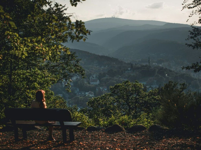 Others 4, Heart of a Modern Retreat, Harz