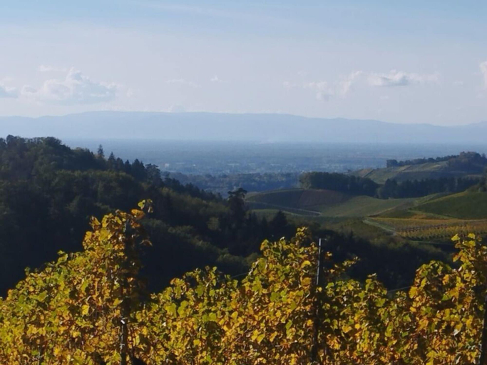 Others 4, Lovely Apartment in Baden-wurttemberg, Ortenaukreis