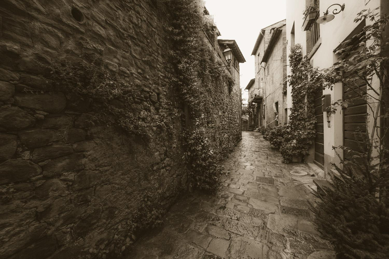 Exterior & Views 2, San Michele al Borgo, Arezzo