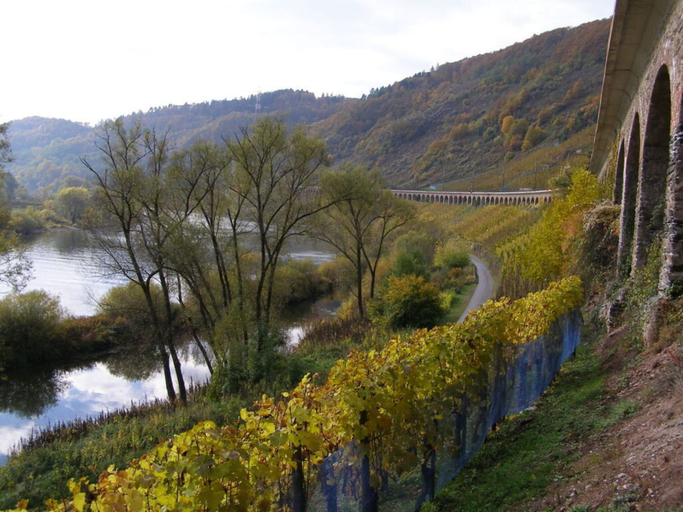 Miscellaneous 2, Holiday Apartment Haus Burgenblick Bullay, Cochem-Zell
