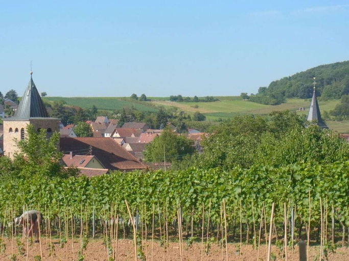 Property grounds 2, Pfaelzerleben, Südliche Weinstraße
