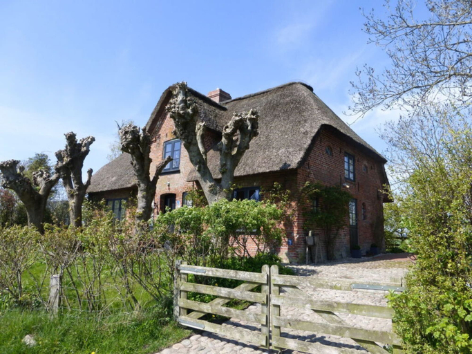 Primary image
