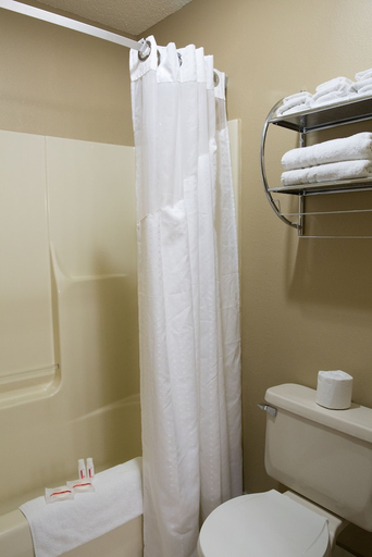 Bathroom 3, Econo Lodge Canton North, Fulton