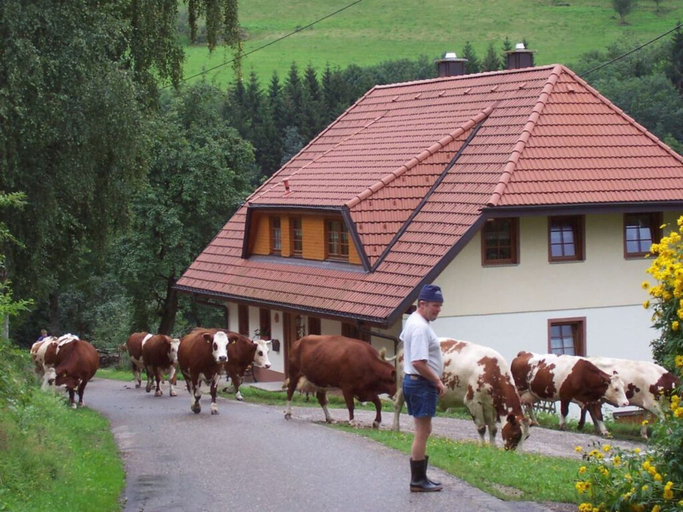 Exterior 5, Pleasant Holiday Home With Balcony, Breisgau-Hochschwarzwald