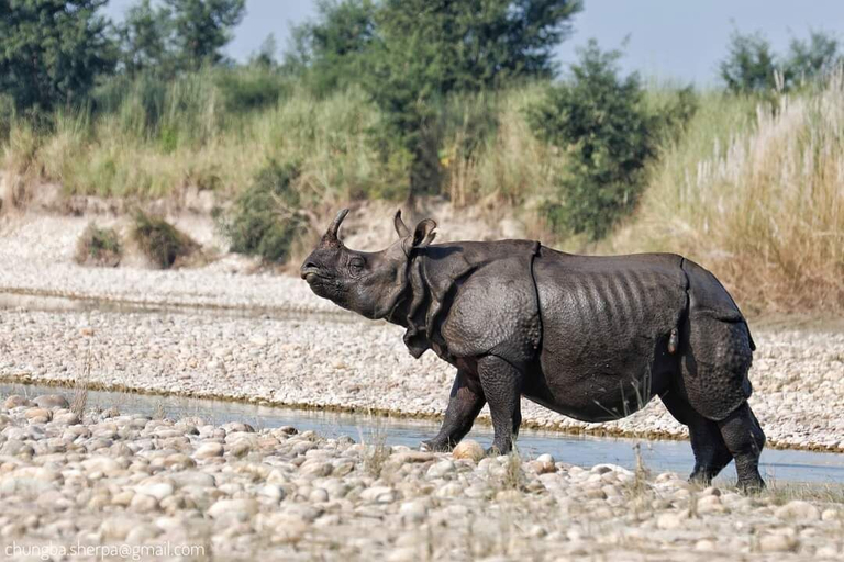 Others 3, King Jungle Walk Safari & Home Stay, Narayani