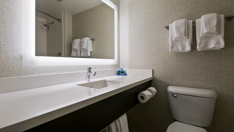 Bathroom 4, Holiday Inn Express & Suites Burlington By IHG, Skagit