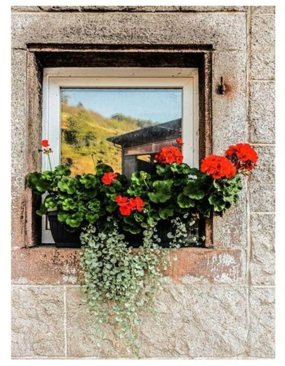 Others 2, Lovely Apartment in Baden-wurttemberg, Ortenaukreis