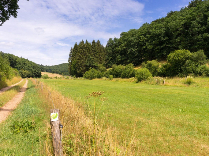 View from property 4, Kurzurlaub im Waxweiler-tal, Eifelkreis Bitburg-Prüm