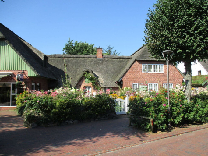 Primary image