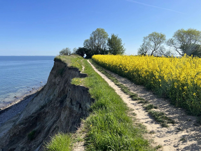 View from property 4, Holiday Home Backbert Near Kappeln, Schleswig-Flensburg